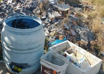 Confirmado terceiro caso de dengue contraído em Braço do Norte