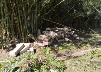 Lauro Müller: suposto desvio de material de obra pública é investigado pela Polícia Civil