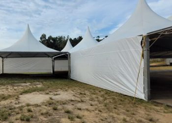 Tubarão: feira deve movimentar R$ 10 milhões em negócios