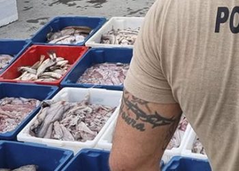 Polícia apreende mais de 600 kg de pescados no litoral