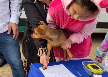 Prefeitura de Braço do Norte e Unibave renovam programa de castração de pets
