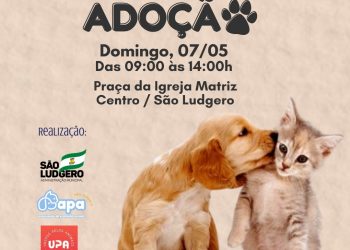 Feira de Adoção será realizada no dia 7 de maio em São Ludgero