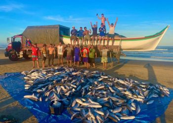 Jaguaruna: pescadores capturam 40 toneladas de tainha