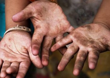 Município realiza seminário sobre o enfrentamento ao trabalho infantil