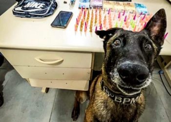 Homem é preso por tráfico de drogas com mais de 100 pinos de cocaína