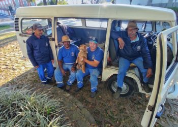 Nova Veneza: cachorro é adotado por equipe da limpeza e vira atração