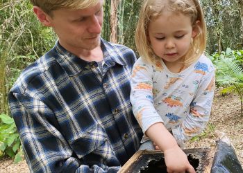 Cresol libera primeiro crédito do Brasil para criação de abelhas sem ferrão