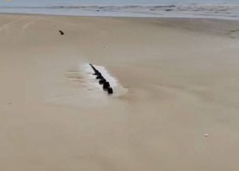 Ferros de navio naufragado ressurgem na areia da praia de Jaguaruna