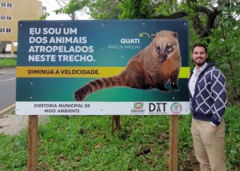 Criciúma: placa de conscientização é colocada para evitar atropelamentos de quatis