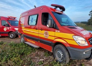 Dois homens são hospitalizados após acidente durante corte de árvores