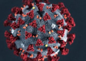 Tubarão: centro de Testagem de covid-19 terá horário ampliado