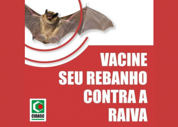 Cidasc alerta para casos de raiva na região de Rio Fortuna e Santa Rosa de Lima