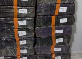 Laguna: freteiro de drogas é preso durante operação deflagrada Polícia Civil