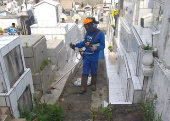 Cemitérios são preparados para Dia de Finados em toda região