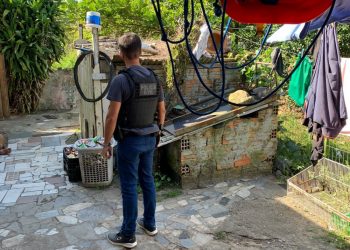 Tio é preso por maltratar sobrinho usando cão