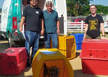 Programa de castração e microchipagem gratuitos reinicia em Braço do Norte