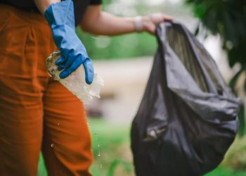 Dengue: Autoridades de Santa Catarina alinham ações de prevenção em municípios prioritários