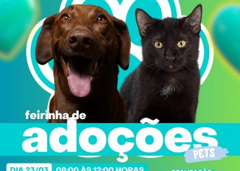 São Ludgero realiza no sábado, dia 23 de março, mais uma Feira de Adoções