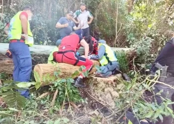 Braço do Norte: homem fica gravemente ferido ao ser atingido por árvore