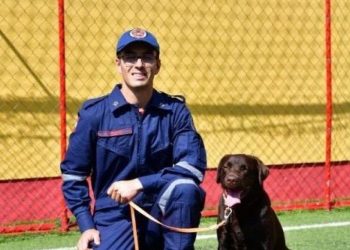 Rio Grande do Sul: bombeiros de SC enviam cães de busca para resgates