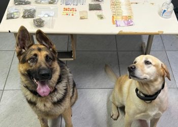 PM apreende drogas com passageiros de ônibus de excursão e um homem é preso