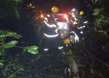 Em Nova Veneza, motorista cai em barranco e colide contra arbusto