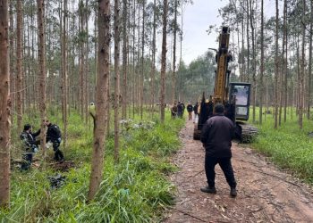 Corpos encontrados enterrados em Balneário Arroio do Silva foram identificados