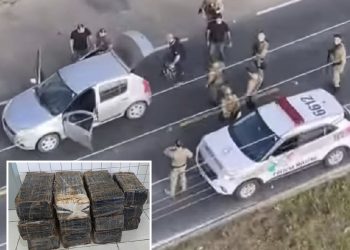 Operações apreendem mais de 240 kg de maconha