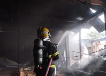 Lauro Müller: incêndio atinge aviário