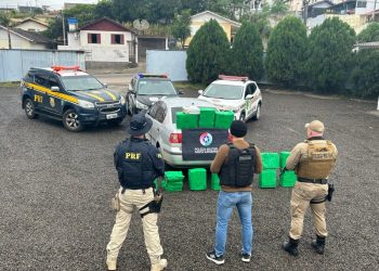 Braço do Norte: operação conjunta apreende mais de 200 quilos de maconha