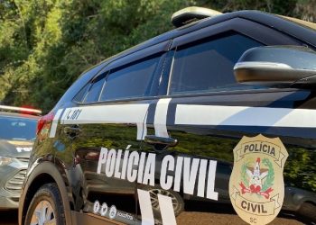 Grão-Pará: quatro pessoas são presas durante operação policial contra o tráfico de drogas