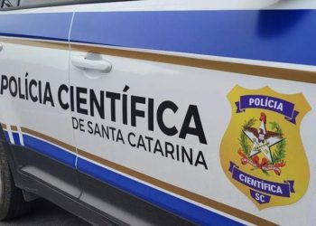 Corpo de homem é encontrado em plantação de eucalipto