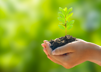 Vereadora de São Ludgero propõe Projeto “Bosque da Vida” para promover a educação ambiental