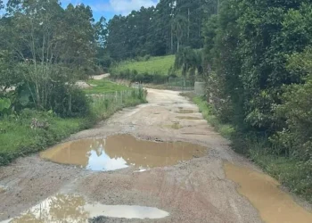 Pavimentação da rodovia entre São Martinho e São Bonifácio é anunciada