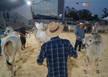 Criciúma: AgroPonte divulga programação oficial da feira