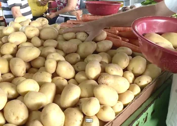 IPCA: preços sobem 0,21% em junho, puxados pelos preços de alimentos