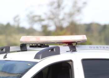 Nova Veneza: criança fica ferida após ser atacada por cão