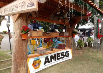 Abelhas nativas: Santa Rosa de Lima é oficialmente a Capital Nacional da Meliponicultura