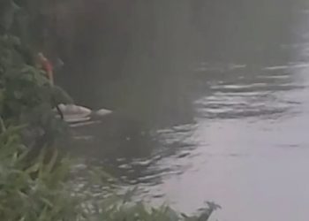 Corpo encontrado no rio estava amarrado e enrolado em saco plástico