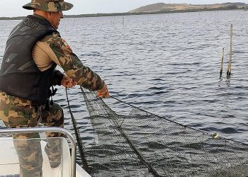 PMA combate pesca predatória na região