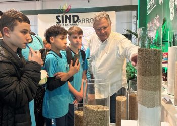 Na AgroPonte 2024, SindArroz-SC destaca a importância do arroz para a economia do Brasil