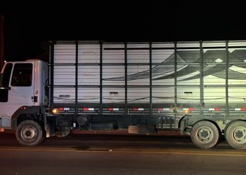 Tubarão: pedestre morre atropelado por caminhão