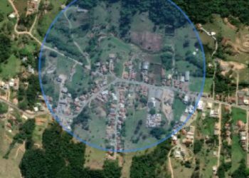 Tubarão: novo caso de raiva é registrado