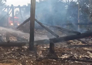 Lauro Müller: estufa de 430 metros quadrados é destruída por incêndio