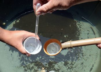 Aumento de casos de dengue na região alcança quase 1.000%