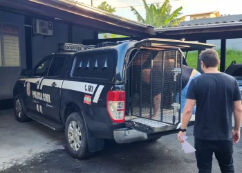 Estelionatários são presos em flagrante aplicando golpes na região