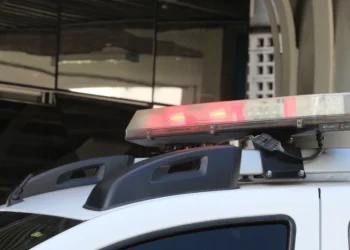 Grão-Pará: PM e PC realizam operação e prendem três pessoas por tráfico de drogas