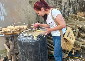 Gravatal: em uma semana, 11 focos de dengue são encontrados