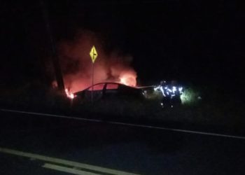 Carro bate em poste e pega fogo após desviar de cachorros em rodovia