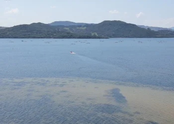Família do Uruguai tenta atravessar lagoa e acaba socorrida por bombeiros